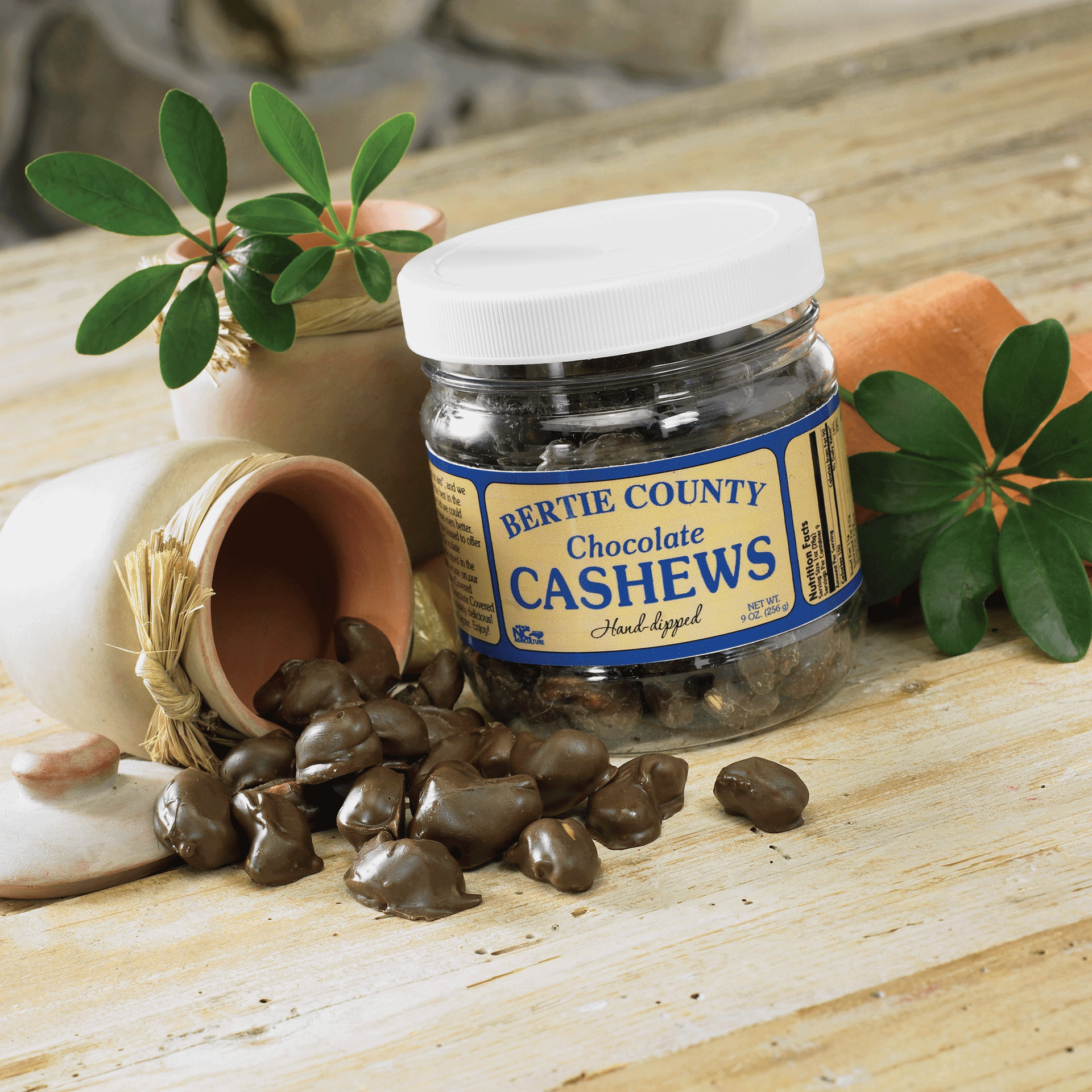 Chocolate Covered Cashews | Bertie County Peanuts