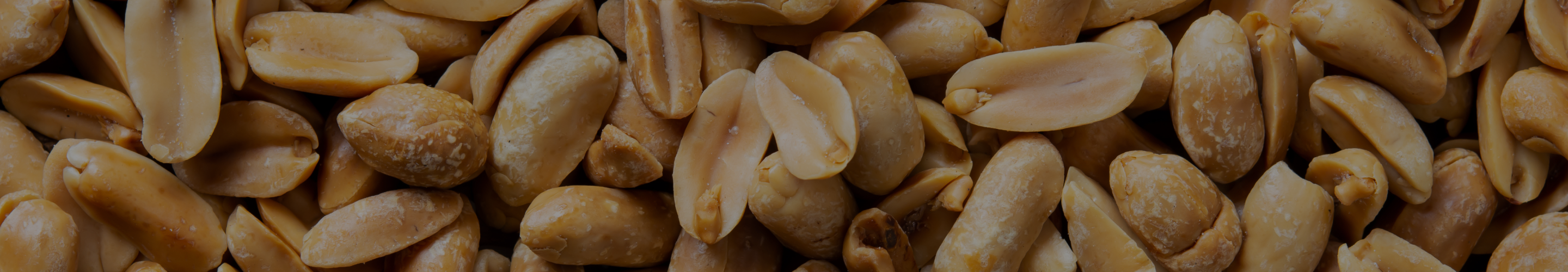 Closeup of fresh peanuts